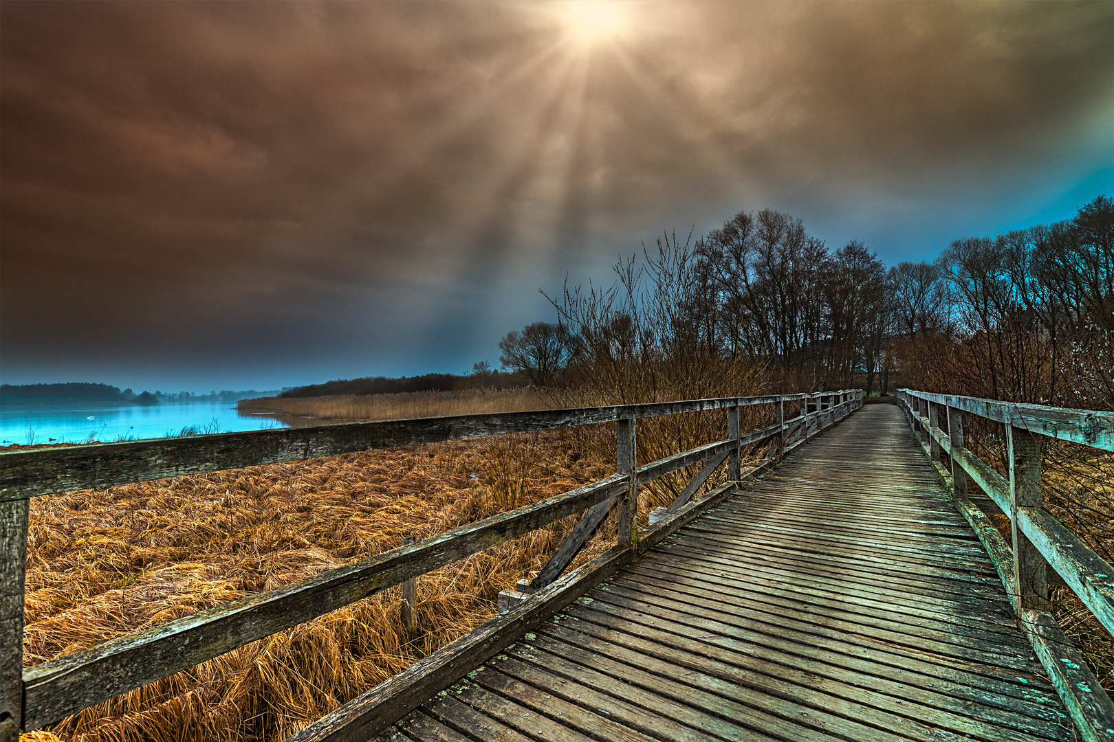 Holzsteg am Dreifelder Weiher