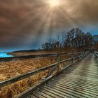 Holzsteg am Dreifelder Weiher