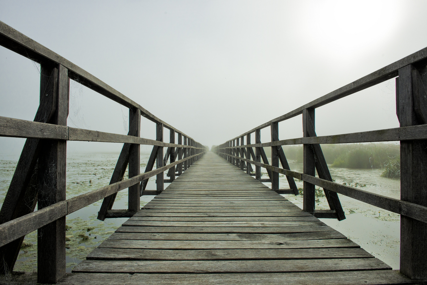 Holzsteg im Nebel