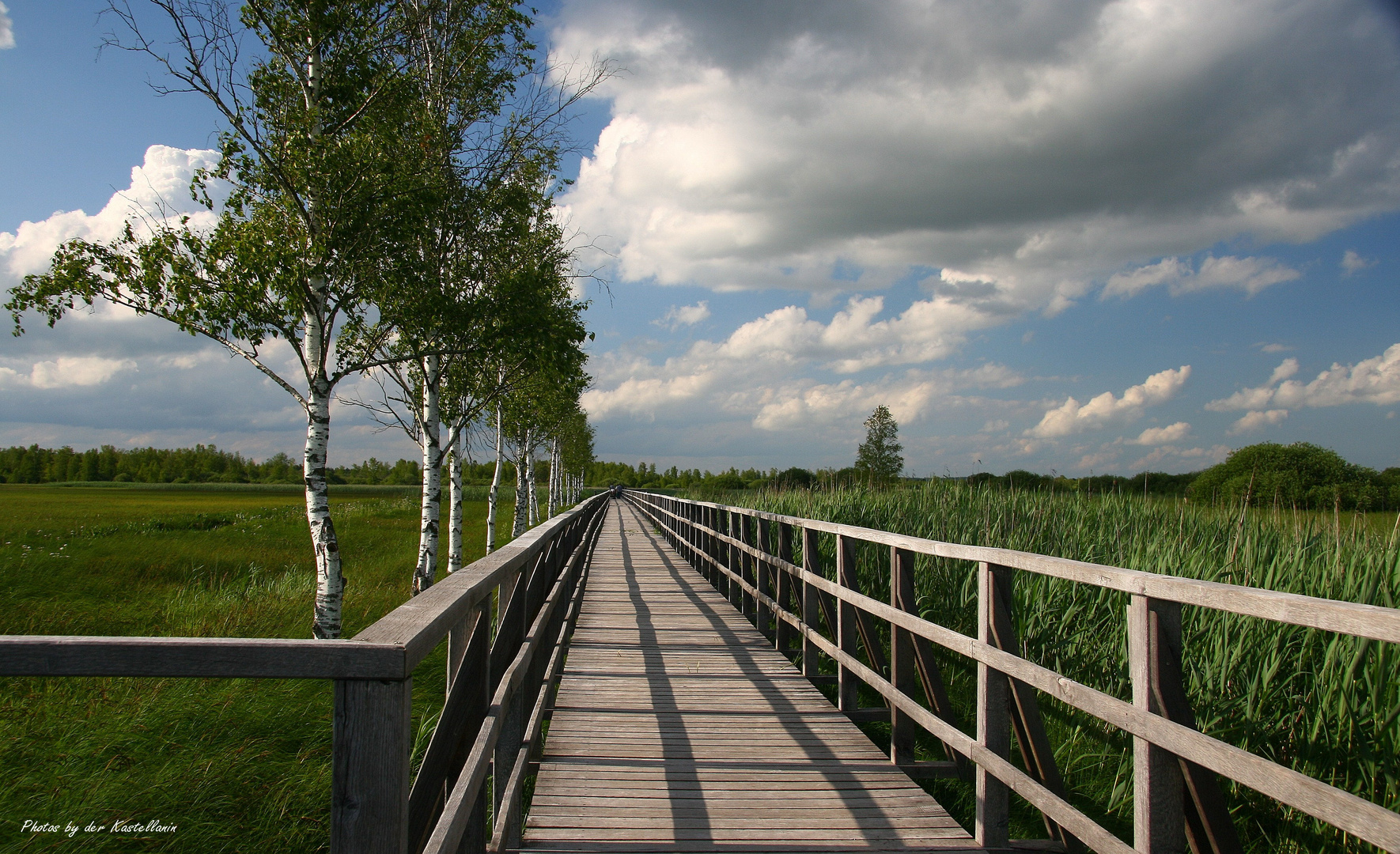 Holzsteg zum Federsee