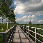 Holzsteg zum Federsee