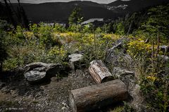 Holzstelle auf dem Jägersteig (Schluchsee) Geniesserpfadfad