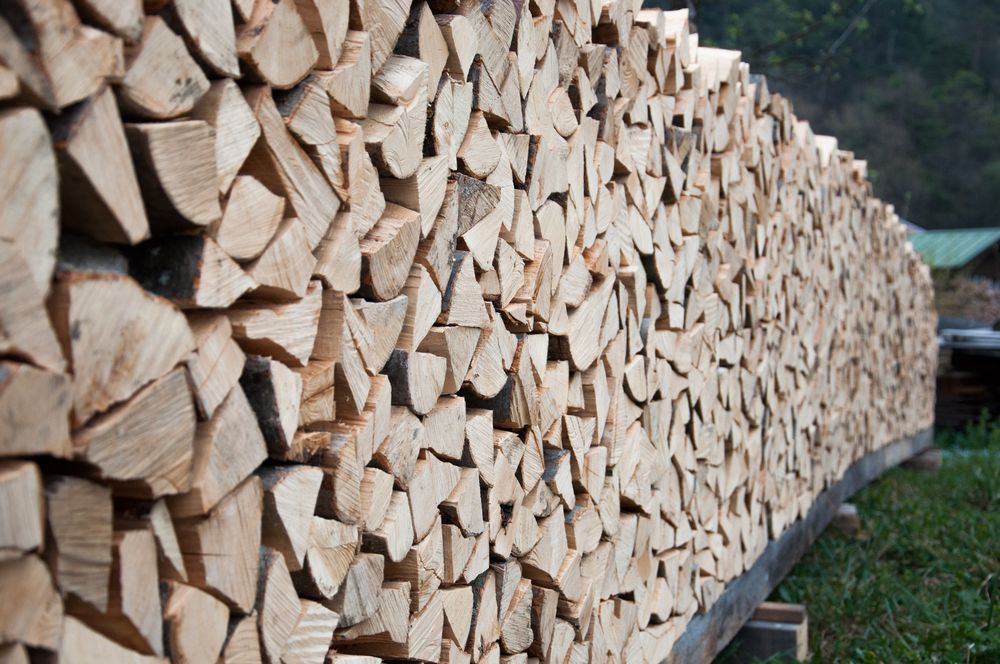 Holzstock Foto & Bild | anfängerecke - nachgefragt, nachgefragt