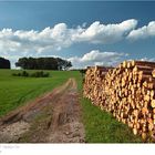 Holzstoss