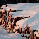 Holzstoß im Abendrot