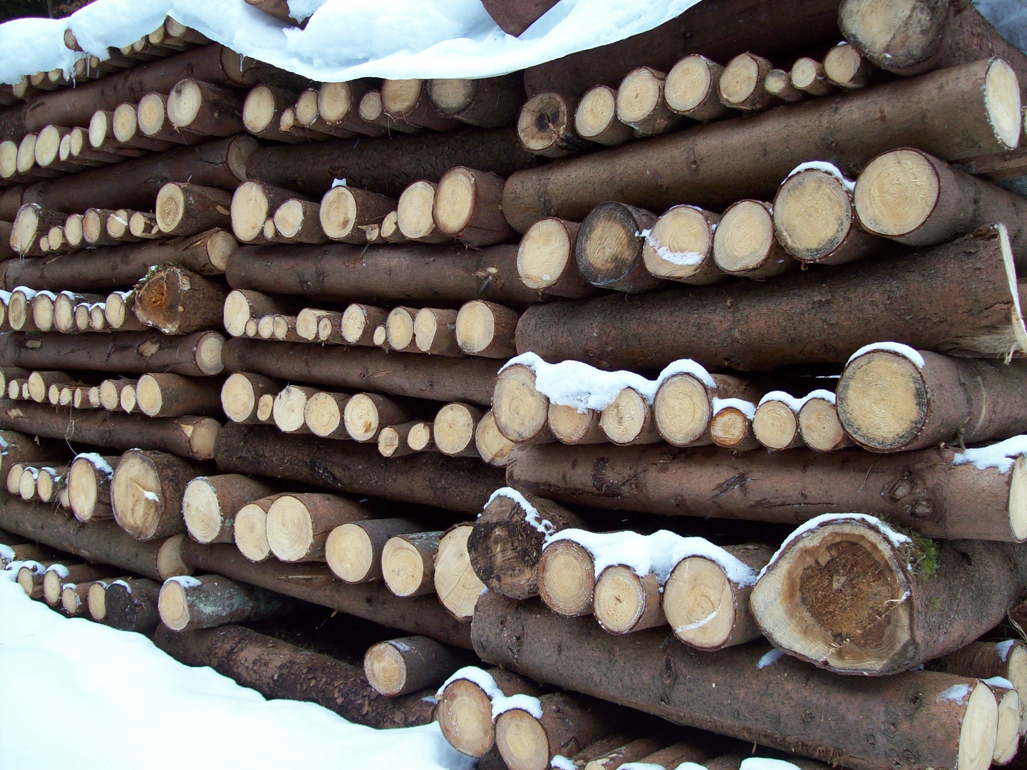 Holzstoß im Schnee