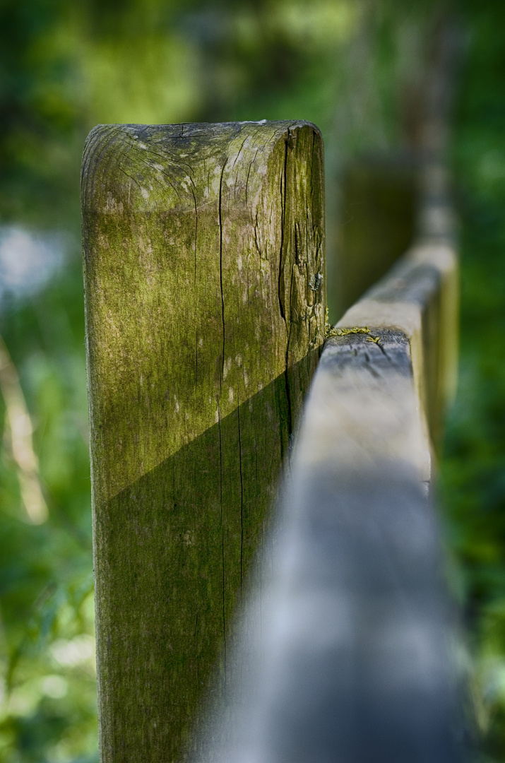 Holzstraße ins Grüne