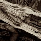 Holzstruktur