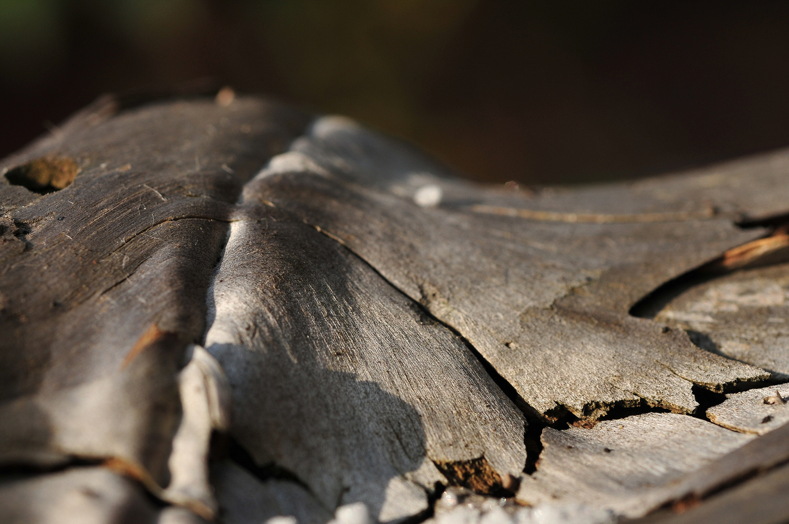 holzstrukturen