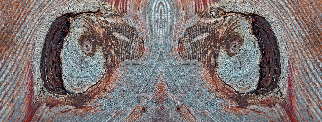 Holzstrukturen: Ein Kunstwerk von Mutter Natur!  -  Structures sur une planche en bois...