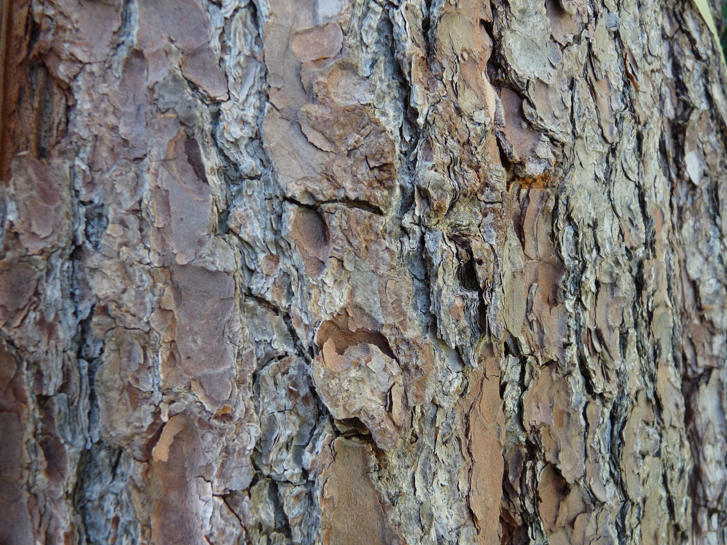 Holzstrukturnatur