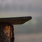 Holztisch in der Natur