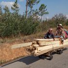 Holztransport