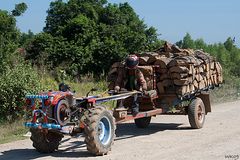 Holztransport auf der Strasse von Sisiphon nach Banteay Chmar