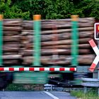 Holztransport aus dem Sauerland per Bahn