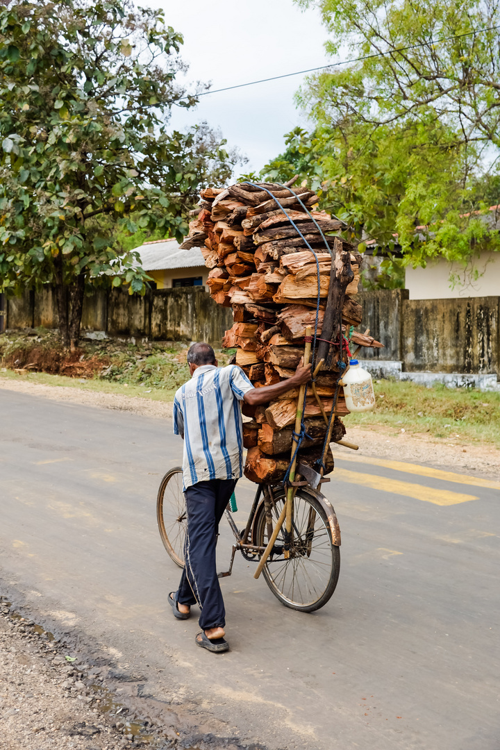 Holztransport einmal anders