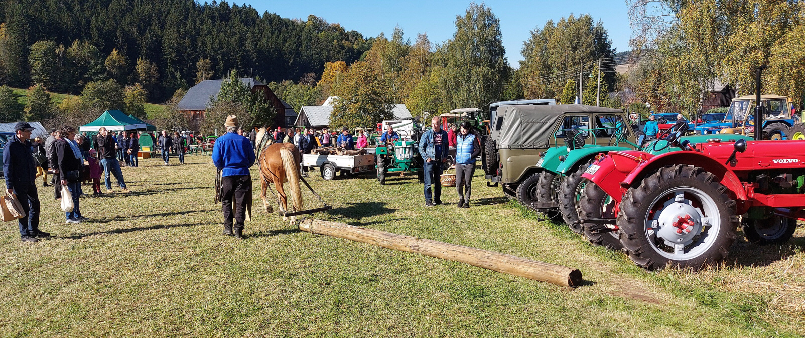 Holztransport mit dem braven Vierbeiner 