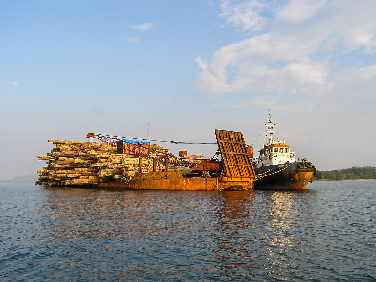 Holztransport vor Sulawesi