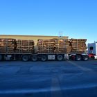 Holztransporter in Canada