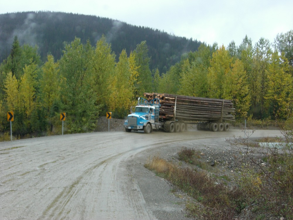 Holztransporter in Canada