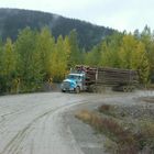 Holztransporter in Canada