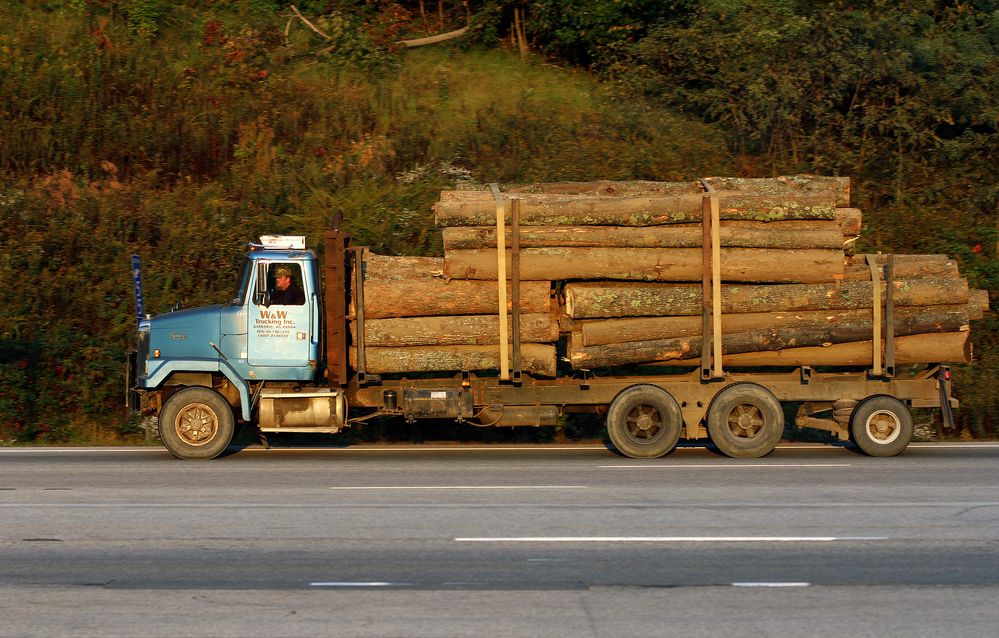 Holztransporter mit spezieller Bereifung, West Virginia, USA