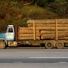 Holztransporter mit spezieller Bereifung, West Virginia, USA