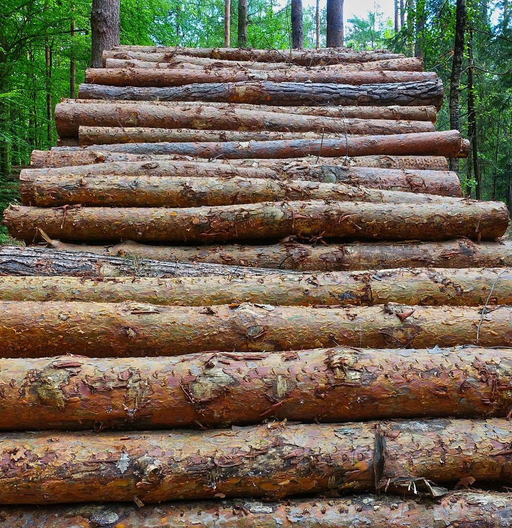 Holztreppe