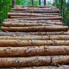 Holztreppe