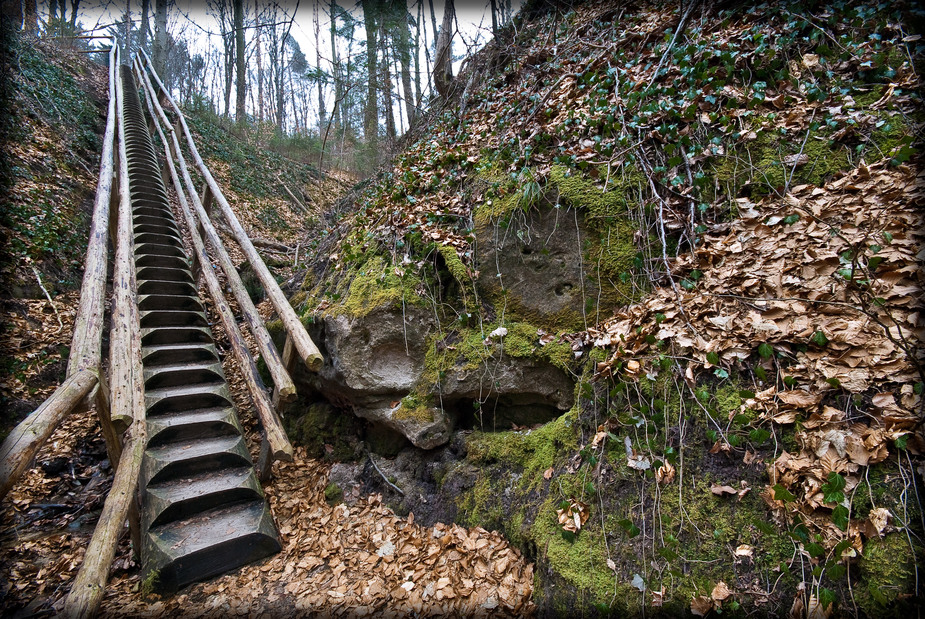 Holztreppe im Wald - Wüstenrot