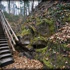 Holztreppe im Wald - Wüstenrot