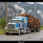 Holztruck