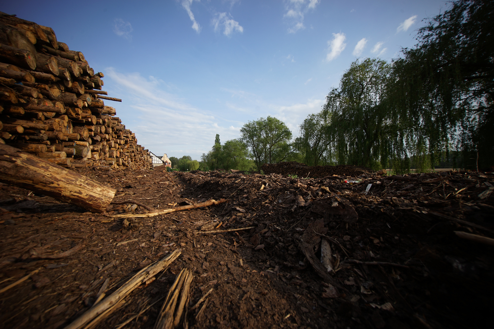 Holzverarbeitung Stufe I