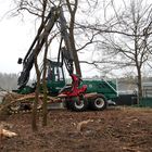 Holzvollernter Harvester