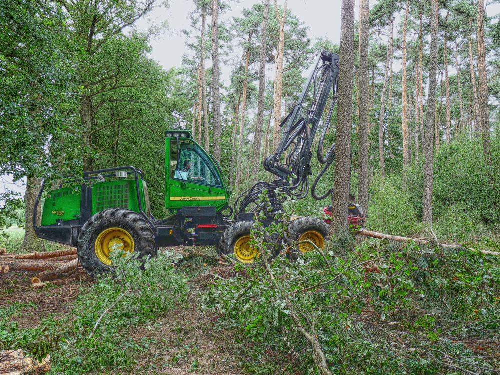 Holzvollernter im Einsatz