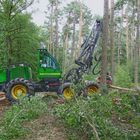 Holzvollernter im Einsatz