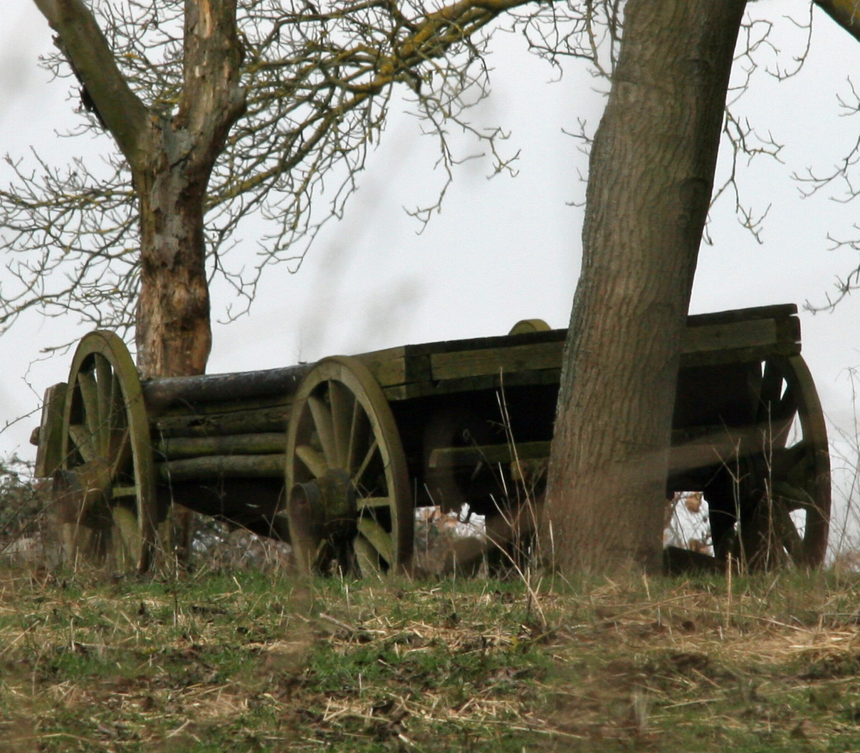 Holzwagen