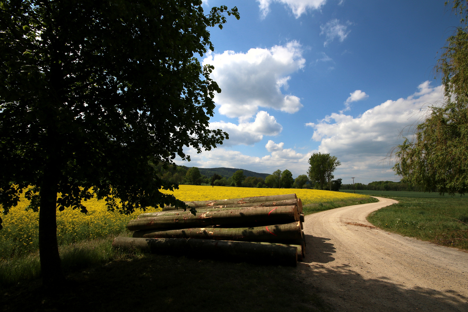 Holzweg