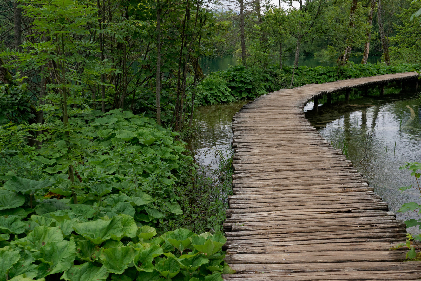 Holzweg Foto &amp; Bild natur, landschaft, bach Bilder auf
