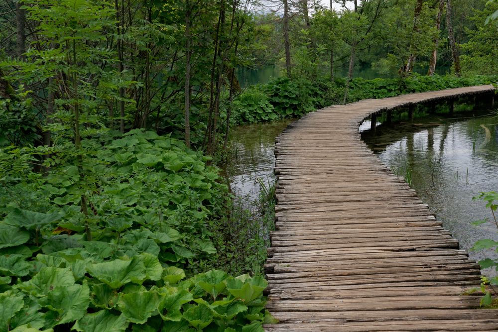 Holzweg Foto & Bild natur, landschaft, bach Bilder auf