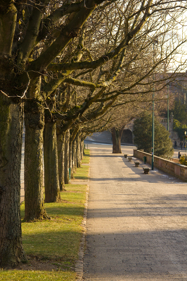 "Holzweg"