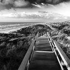 Holzweg durch die Dünen (Sylt)