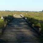 Holzweg ins große Torfmoor bei Hille