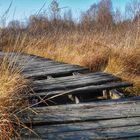 Holzweg Naturpfad Ahlenmoor