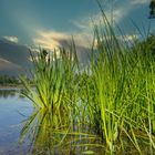 Holzweiher bei uns in der Gegend 2