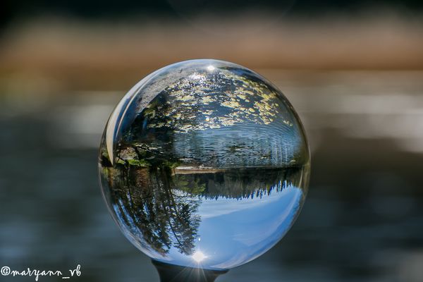 Holzweiher in der Kugel