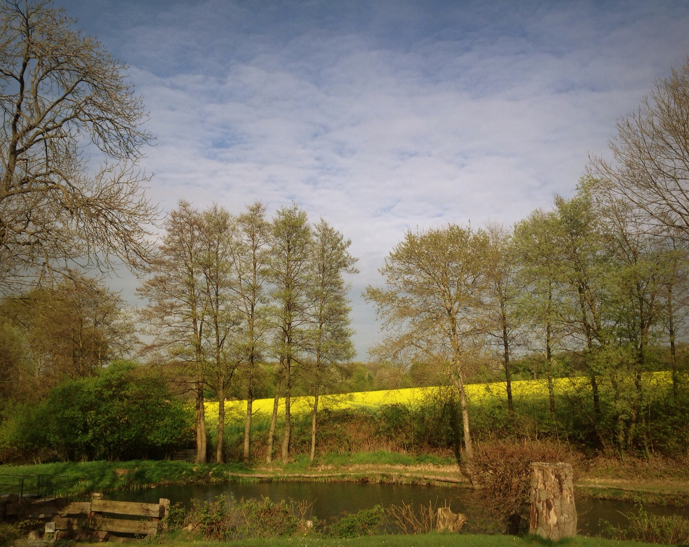 Holzwickeder Landschaft