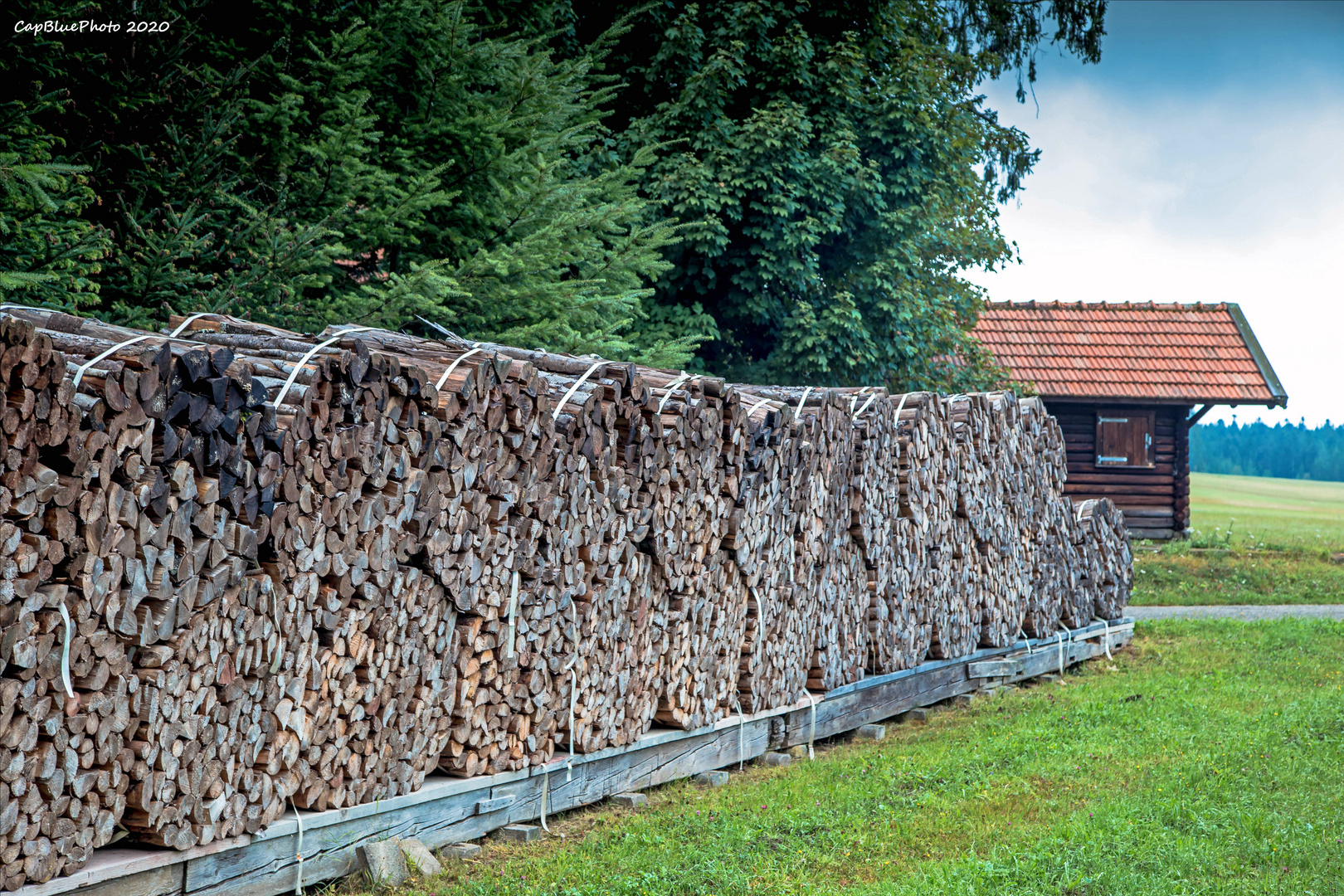 Holzwirtschaft 2 in Seewald-Besenfeld