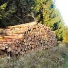 Holzwirtschaft