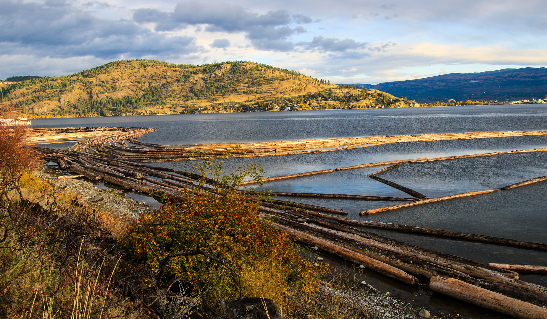 Holzwirtschaft im Okanagan Valley Kewlona